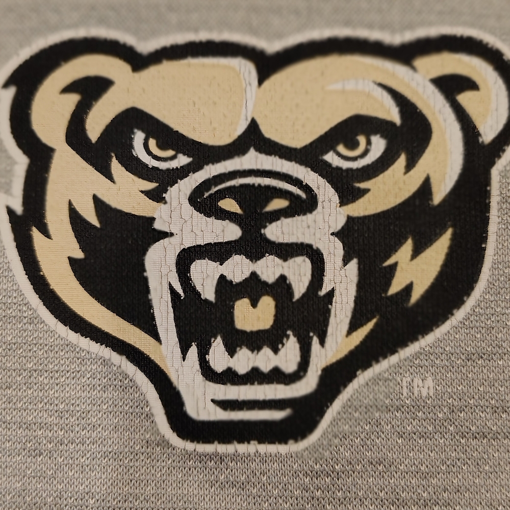 Oakland University Men's Gray Hoodie Sweater - Picture 4 of 4